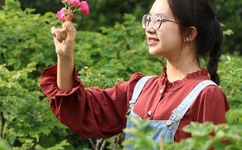 无翼乌全彩无遮挡漫画大全